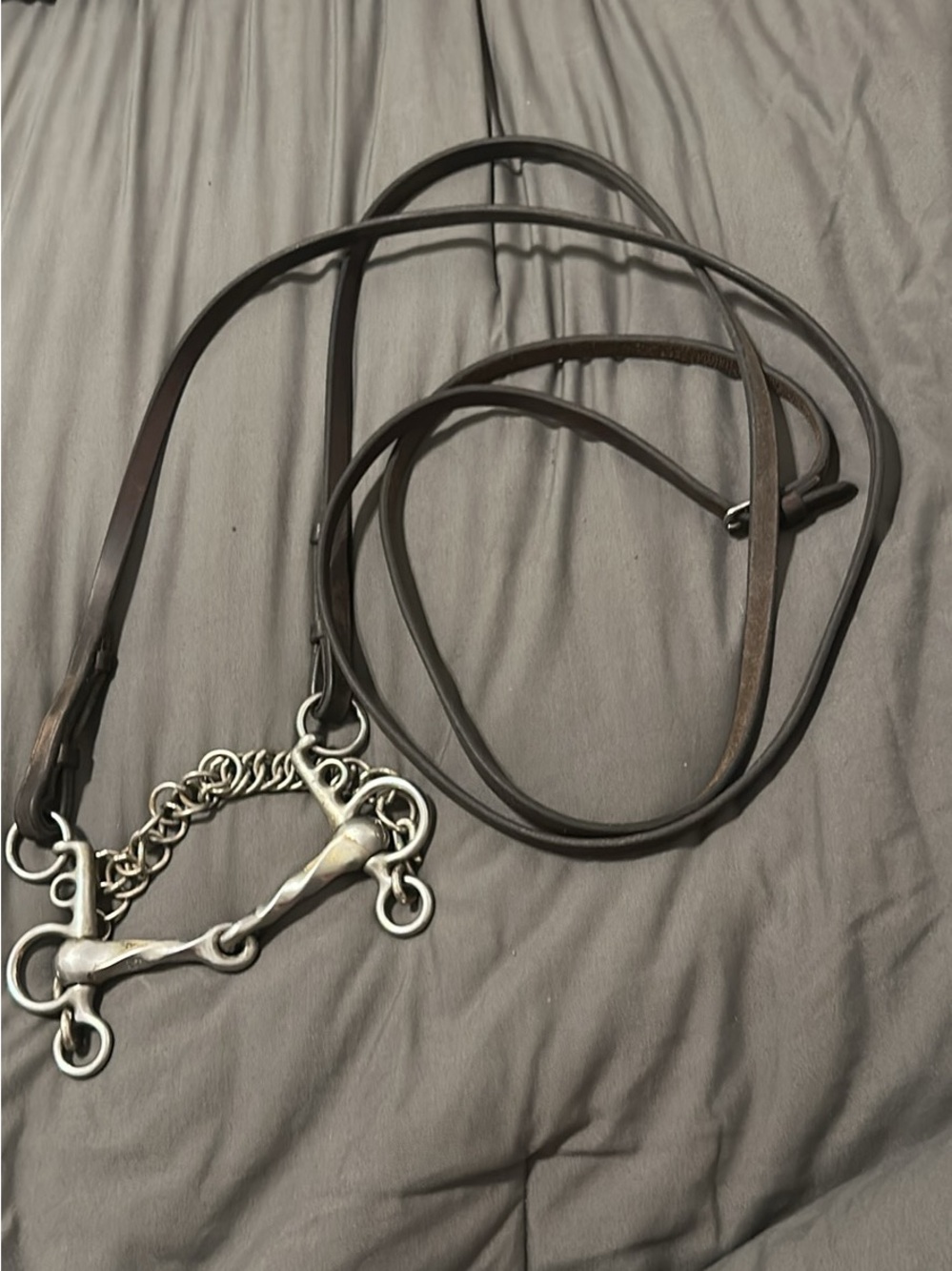 Double Twist Pelham Bit